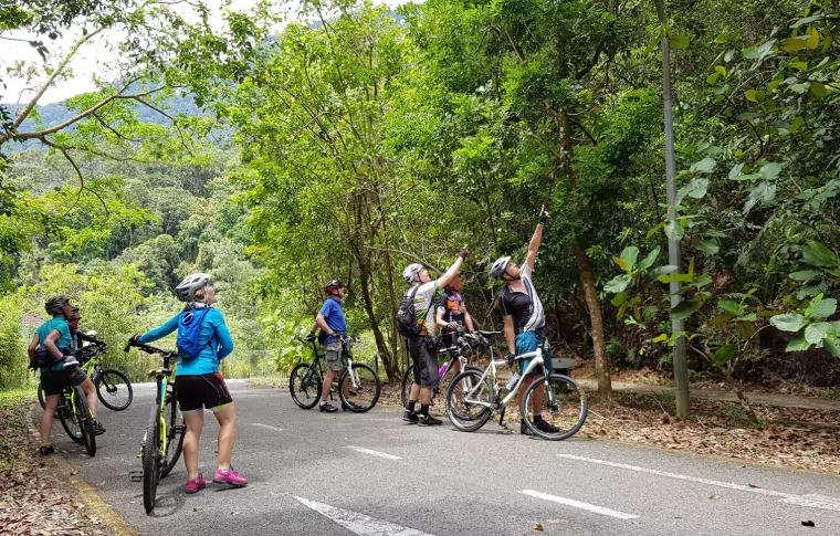 9-Day Ultimate Borneo Wildlife Bike Safari